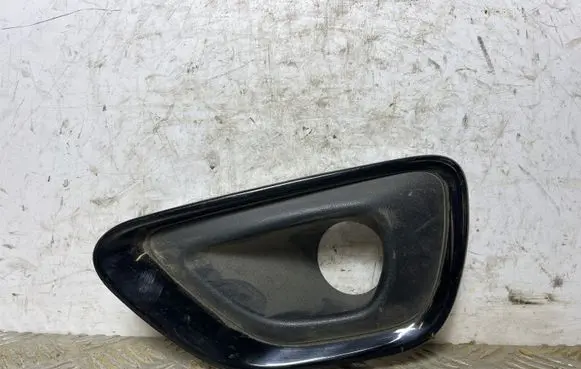 Front fog light trim/grill