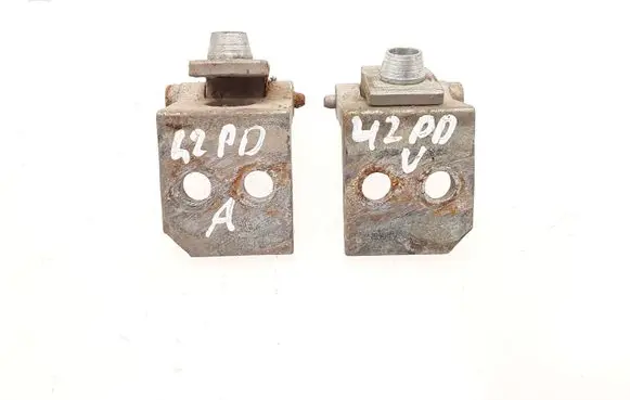 Peugeot 206 Front door hinge set EZR
