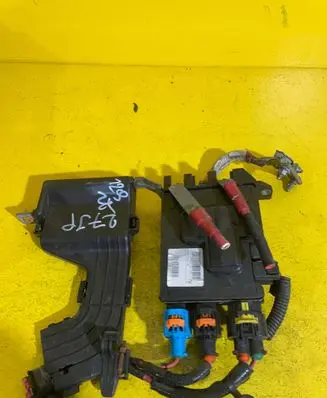 Renault Scenic III - Grand scenic III Positive wiring loom 248800010R
