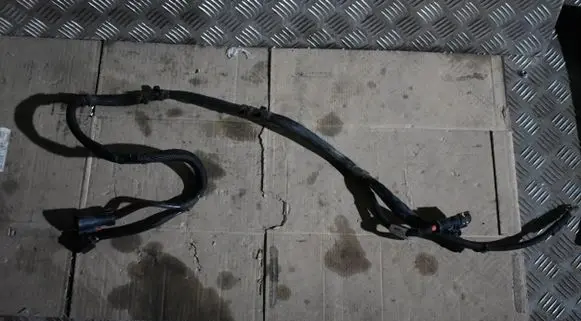 Porsche Panamera (971) Other wiring loom 972971111555525
