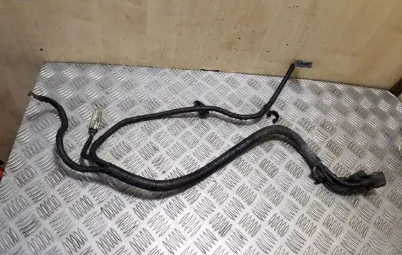 Ford Ranger Other wiring loom