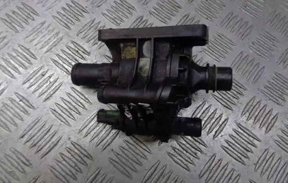 Thermostat/thermostat housing