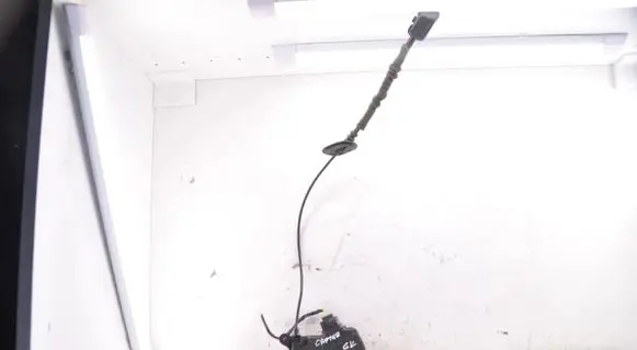 Renault Captur Rear door lock 805034742R