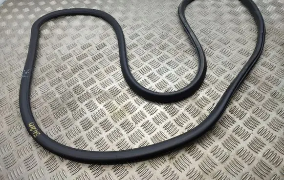 Citroen C3 Aircross Front door rubber seal