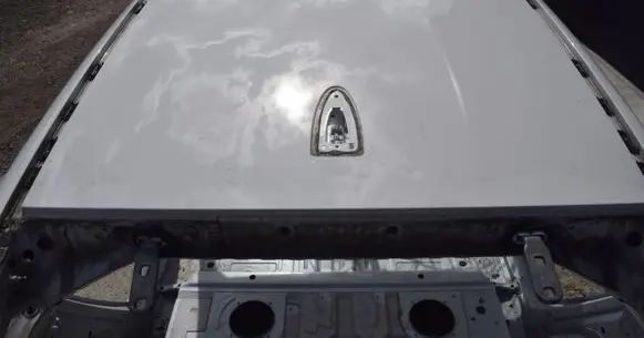 BMW X6 E71 Roof 