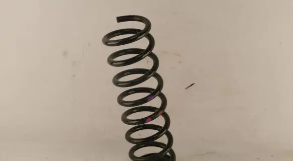 Ford Kuga II Rear coil spring