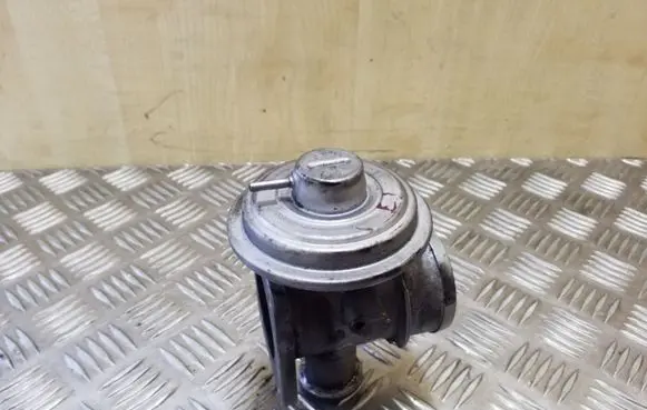 BMW 5 E39 EGR valve 7785452