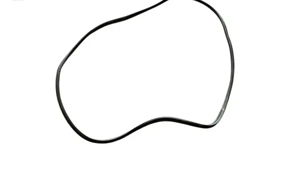 BMW 3 F30 F35 F31 Rubber seal front coupe door window 206779 206779-10 5176-7