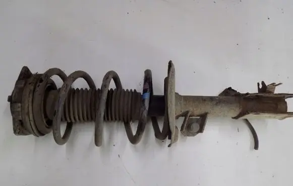 Nissan Qashqai Rear shock absorber with coil spring 54302JD01A