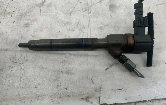 Hyundai i30 Fuel injector 0445110256