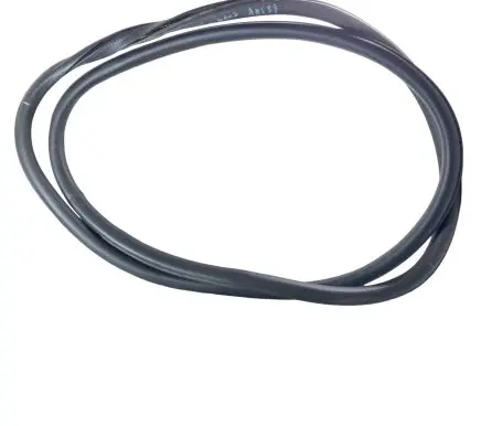 Ford Edge II Front door rubber seal