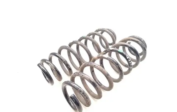 Rear coil spring