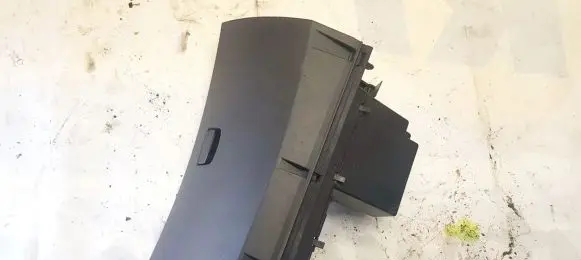 Renault Laguna III Glove box 6850000295 1011768