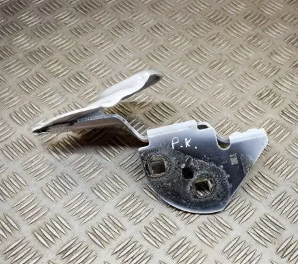 Tesla Model 3 Engine bonnet/hood hinges 164384500A
