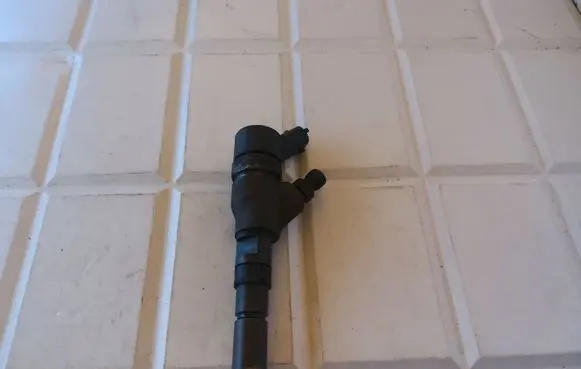 Citroen C5 Fuel injector 0445110076 9641742880