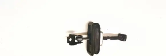 Renault Megane IV Rear door check strap stopper