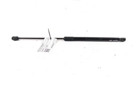 Tailgate strut