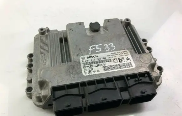 Citroen Berlingo Other control units/modules 9666975480 F533