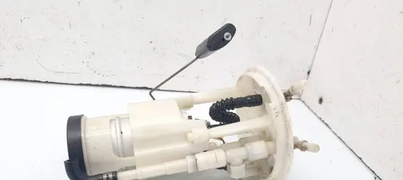 Hyundai ix 55 In-tank fuel pump 311103J000 EFR0087 083001140