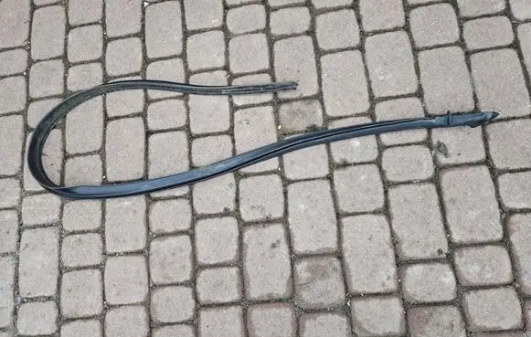 Renault Zoe Front door rubber seal 878539800000357441