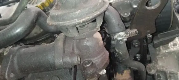 EGR valve