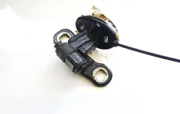 Volvo V50 Rear door lower hinge 30715358
