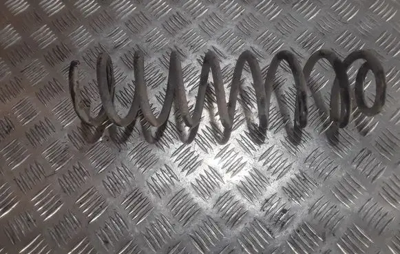Renault Megane II Rear coil spring