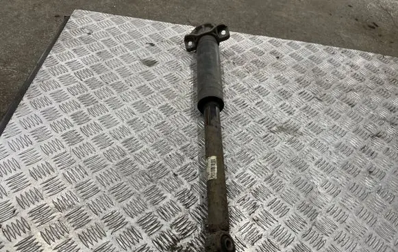 Opel Astra J Rear shock absorber/damper 13279266