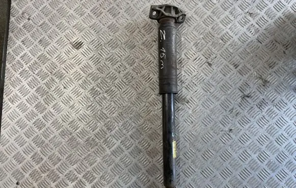 Opel Zafira C Rear shock absorber/damper 13419902