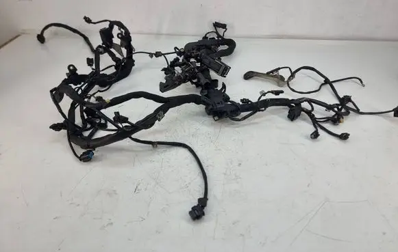 Engine installation wiring loom