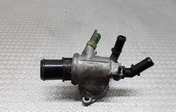 Thermostat/thermostat housing