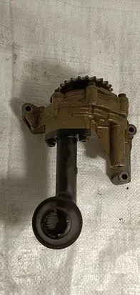 Volkswagen Golf V Oil pump 11346030811
