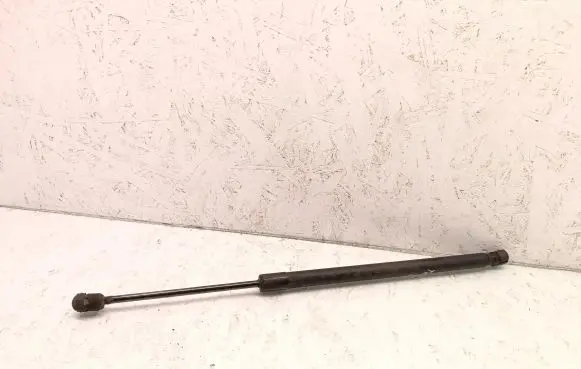 Tailgate strut