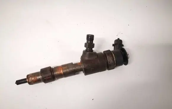 Ford Focus Fuel injector 0445110489 cv6q-9f593-aa