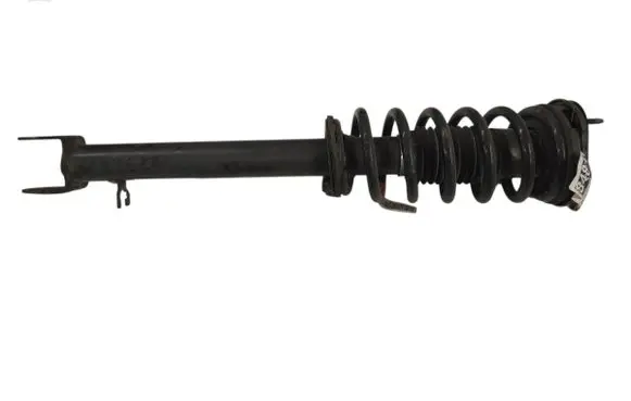 Tesla Model S Front shock absorber with coil spring 101561901E