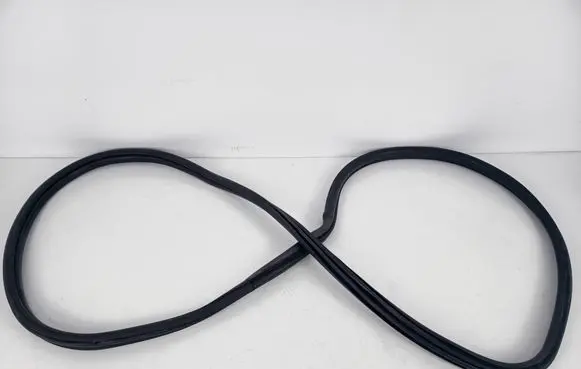BMW 3 F30 F35 F31 Front door rubber seal 7258312