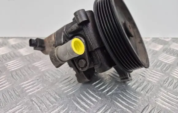 Mercedes-Benz E W212 Power steering pump A0064666801