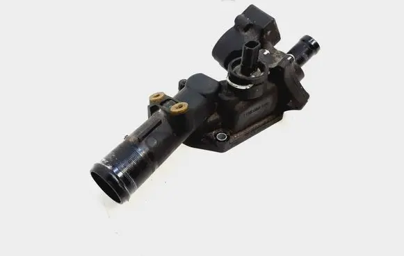 Thermostat/thermostat housing