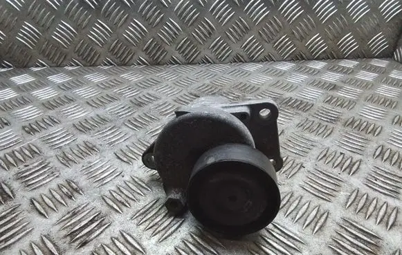 Citroen Jumpy Generator/alternator belt tensioner 9805244980