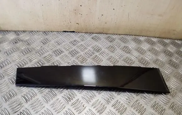 Other rear door trim element