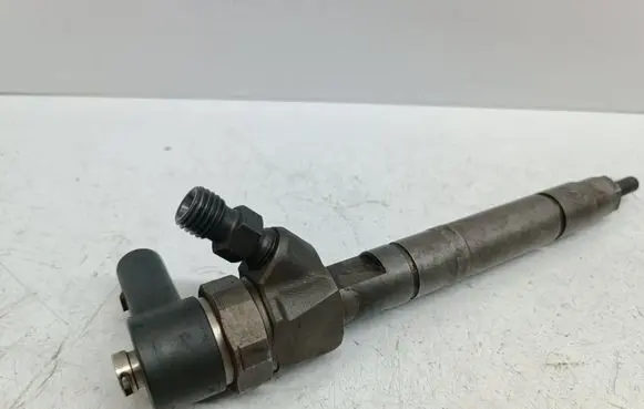Mercedes-Benz S W220 Fuel injector A6130700587 0445110096 6130700587