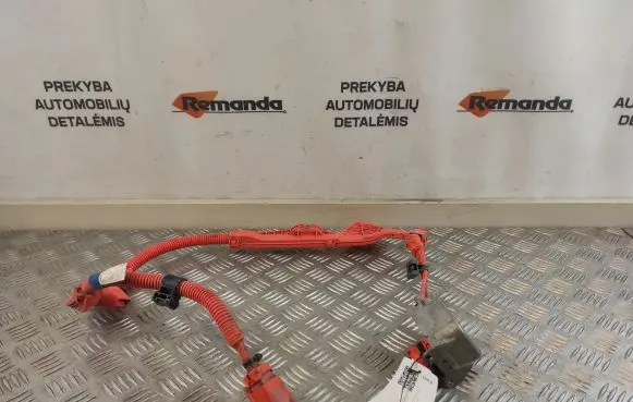 Toyota RAV 4 (XA50) Engine installation wiring loom