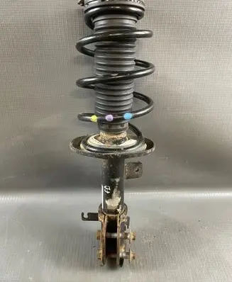 Peugeot 208 II Front shock absorber with coil spring 98348500800