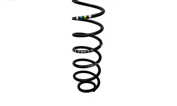 Rear coil spring