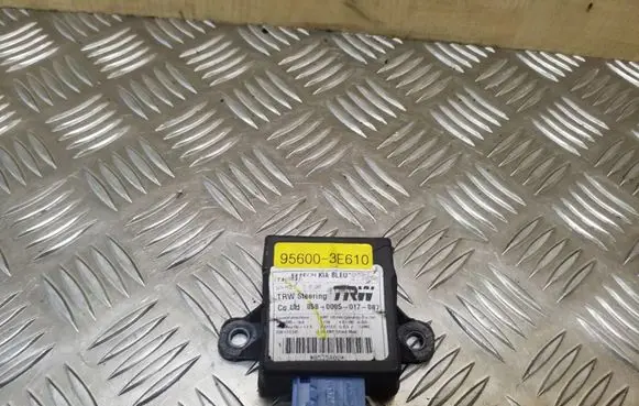 KIA Sorento Other control units/modules 956003E610