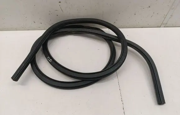 Ford Mustang Mach-E Front door rubber seal 