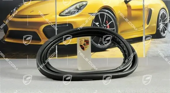 Porsche Cayenne (9PA) Rubber seal rear door 95553391102