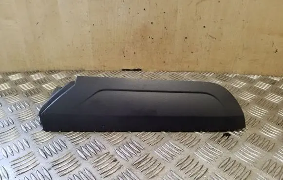 Rear/tail light trim molding