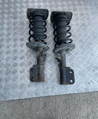 Citroen Jumpy Front shock absorber/damper 9805519980