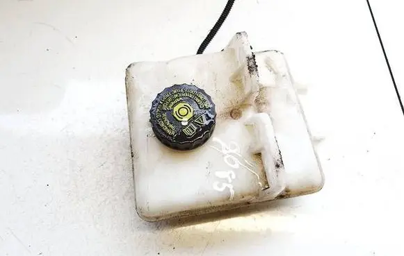 Renault Zoe Brake fluid reservoir 0204720866